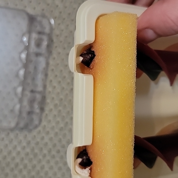 NWT in Box Dadant & Sons, Inc. Holiday Hues 12" Triple Spiral Taper Candles - Picture 5 of 12